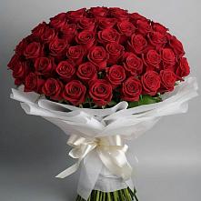 Букет 101 Красная роза Блэк Мэджик в Усть-Кинельском
