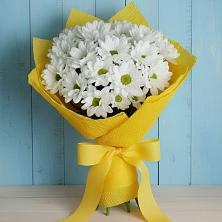 Букет цветов из:  Хризантемы в Усть-Кинельском