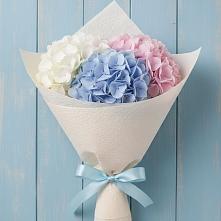 Букет цветов из:  Гортензия в Усть-Кинельском