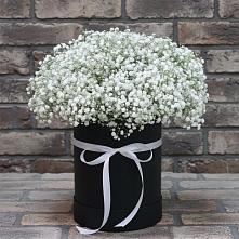 Цветочная композиция из Гипсофила в шляпной коробке в Усть-Кинельском