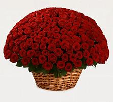 Премиум букет из: Розы #REPLACE_PRED# Усть-Кинельском